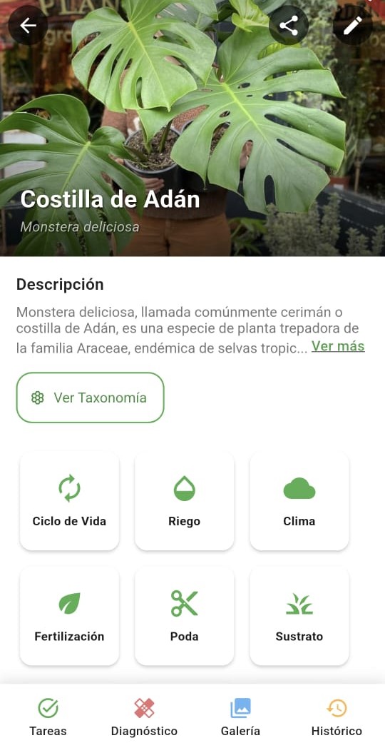 Organización de colecciones de plantas en Mi Jardín